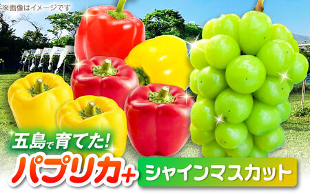 【2026年発送】シャインマスカットとパプリカ 五島市/HPIファーム ブドウ ぶどう 野菜 果物[PCP015]