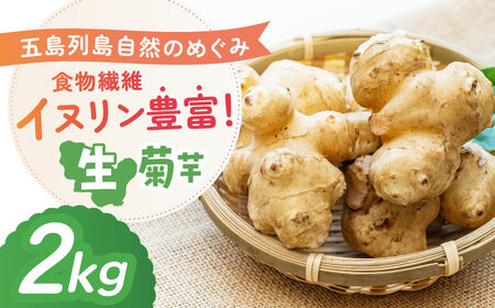 【2026年11月先行予約】生キクイモ（菊芋）2kg 五島市/五島列島自然のめぐみ[PGM005]