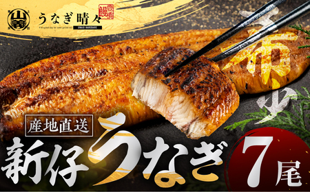 うなぎ晴々 蒲焼き 新仔 7尾 うなぎ