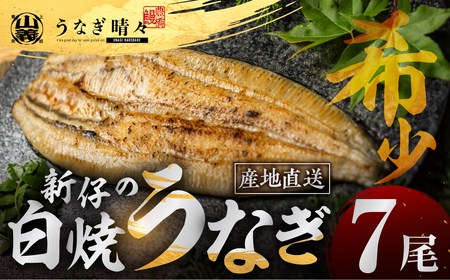 うなぎ晴々 白焼き 新仔 7尾 うなぎ
