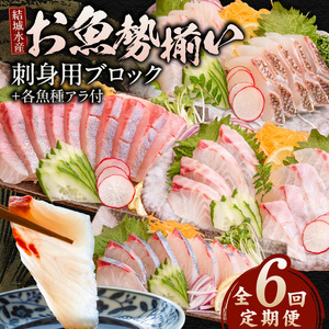 【6ヶ月定期便】(冷蔵)結城水産のお魚勢ぞろい！お刺身用ブロック N015-YF092