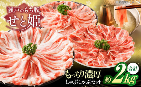 「瀬戸のもち豚 せと姫」 しゃぶしゃぶセット 約2kg [BAER035]