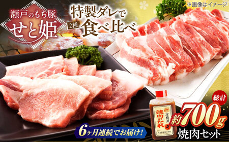 【全6回定期便】冷凍 「瀬戸のもち豚せと姫」焼肉セット計約700g  (バラ400g・ロース300g・自家製焼肉のタレ) [BAER051]焼肉