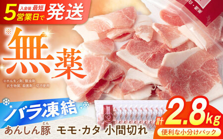 豚肉 モモ・カタ 小間切れ 2.8kg 豚肉切り落し / 藤井ファーム[AWAF029]