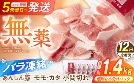 【12回定期便】 豚肉 モモカタ小間切れ1.4kg 藤井ファーム[AWAF032] 豚肉