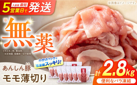 《バラ凍結》モモ薄切り 2.8kg 豚肉 白川町 / 藤井ファーム[AWAF041]