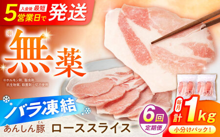 【6回定期便】《バラ凍結》豚肉 ローススライス 1kg （500g×2袋） 白川町 / 藤井ファーム[AWAF051]