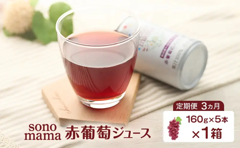 《 定期便 3ヵ月 》 赤葡萄ジュース「sonomama」（160g×5本）×1箱 ぶどう ブドウ ジュース ぶどうジュース 飲料