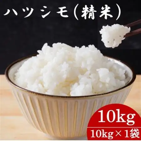 令和7年産　岐阜県産ハツシモ(精米)10kg  国産 米【配送不可地域：離島】【1657395】