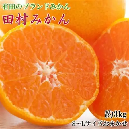 【ブランドみかん】田村みかん約3kg(S.M.Lサイズおまかせ・秀品)【日高町】【1657411】