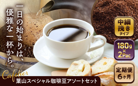 【全6回定期便】 【コーヒー粉 中細挽き】葉山スペシャル珈琲豆アソートセット 2パック入り コーヒー粉 珈琲豆 コーヒー【Cafetier】[ASAD016]