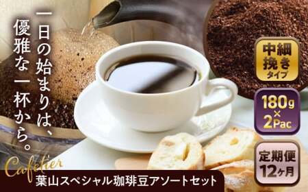 【全12回定期便】【コーヒー粉 中細挽き】葉山スペシャル珈琲豆アソートセット 2パック入り コーヒー粉 珈琲豆 コーヒー【Cafetier】[ASAD022]