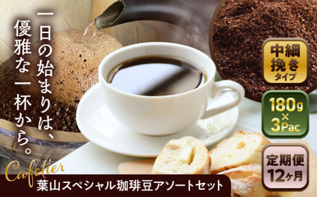 【全12回定期便】【コーヒー粉 中細挽き】葉山スペシャル珈琲豆アソートセット 3パック入り コーヒー粉 珈琲豆 コーヒー【Cafetier】[ASAD024]