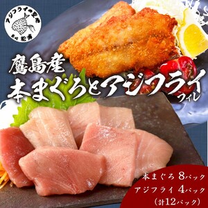 鷹島産本まぐろ 食べきりサイズ(80g×8p)とアジフライのセット(4枚×4p) (魚 マグロ あじ 鯵) 【C8-024】