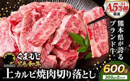 牛肉くまもと黒毛和牛 上 カルビ 焼肉 切り落とし 600g 《30日以内に出荷予定(土日祝除く)》熊本県 荒尾市 上カルビ 焼肉用 黒毛和牛 焼肉 肉 お肉 和牛 A5 A4 300g 小分け