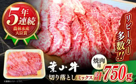 葉山牛 焼肉用ミックス 750g ／ 焼肉  [ASBD002]