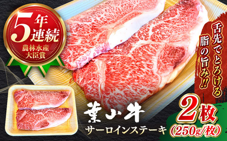 葉山牛 500g　サーロインステーキ ／ サーロイン [ASBD008]