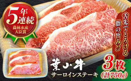 葉山牛 750g　サーロインステーキ ／ サーロイン [ASBD017]