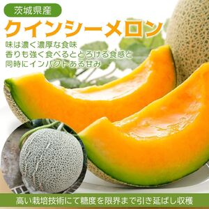 5月上旬～発送【不揃い訳ありクインシーメロン 1玉】＼上品な甘さとジューシーな食感！／茨城県鉾田市産 クインシーメロン めろん 1玉｜先行予約 赤肉 産地直送 追熟 国産 フルーツ 果物 ご自宅用 おすすめ 人気 内山農園