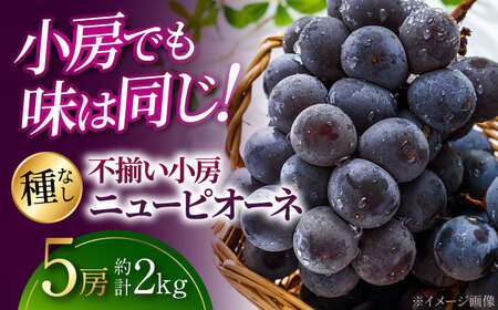 ぶどう ニューピオーネ 5房 [APAB003] 訳あり ぶどう フルーツ