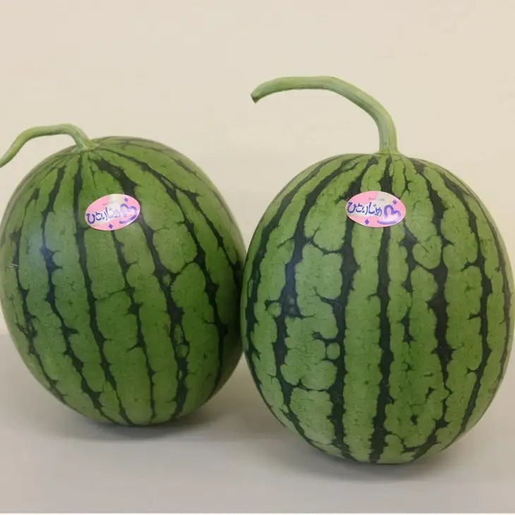 【0415-5】和歌山県産小玉すいか ひとりじめ L～2L寸（2玉約4～5kg）