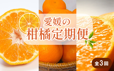 【先行予約】【全3回】 柑橘定期便｜  せとか 神ポン カラマンダリン 不知火 柑橘 定期便 取り寄せ 甘いみかん ギフト 愛媛県産 ミカン みかん mikan 蜜柑 フルーツ 果物 くだもの お取り寄せ 産地直送 数量限定 人気 おすすめ 送料無料 贈答 ギフト 愛媛県 松山市【SSK021】