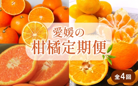 【先行予約】【全4回】 柑橘定期便｜  興居島みかん あいか はれひめ いよかん 温州 温州みかん 愛果 愛果28号 紅まどんな と同品種 伊予柑 柑橘 定期便 取り寄せ 甘いみかん ギフト 愛媛県産 ミカン みかん mikan 蜜柑 フルーツ 果物 くだもの お取り寄せ 産地直送 数量限定 人気 おすすめ 送料無料 贈答 ギフト 愛媛県 松山市【SSK022】