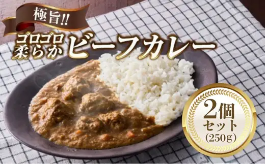 極旨！柔らか牛ヒレ肉ゴロゴロ贅沢ビーフカレー2食セット