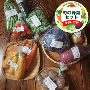 【定期便12回】旬の野菜セット（年間/12回）【 神奈川県 大磯町 季節野菜セット 新鮮野菜】