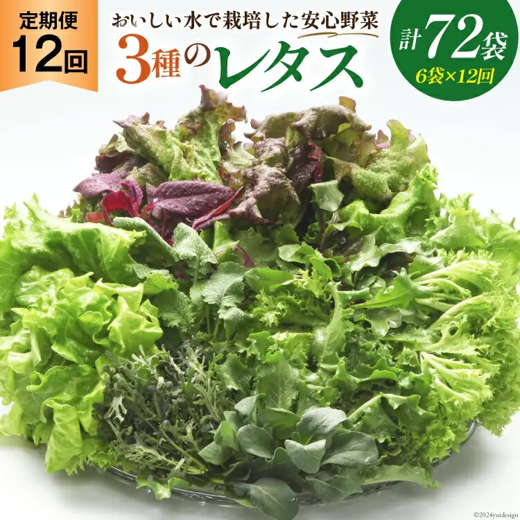 【12回定期便】富山のおいしい水で生産した安心野菜（6袋）[北陸機材 富山県 舟橋村 57050147]