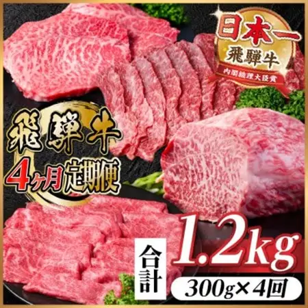 【毎月定期便】飛騨牛 赤身定期便 計1.2kg 焼肉 BBQ すき焼き しゃぶしゃぶ ブロック全4回【配送不可地域：離島】【4072753】