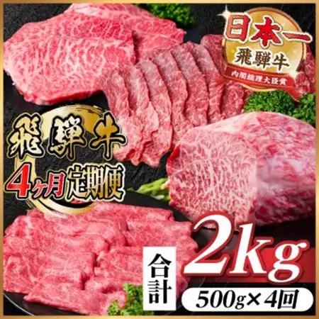 【毎月定期便】飛騨牛 赤身定期便 計2kg 焼肉 BBQ すき焼き しゃぶしゃぶ ブロック全4回【配送不可地域：離島】【4072758】