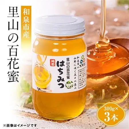 道の駅で大人気のハチミツ(300g瓶詰×3本)【1657834】