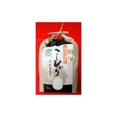 特別栽培米こしひかり（令和7年産）5㎏（1袋）【毎月数量限定】