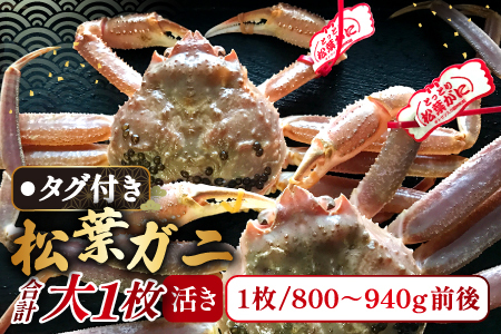 【活き】タグ付き松葉ガニ　中　2枚【松葉ガニ 松葉がに 松葉蟹 まつばがに かに カニ 冷蔵 チルド ブランド ズワイガニ 活き お祝い 冬 国産 季節限定 お取り寄せ 鳥取県 日吉津村 日本海】