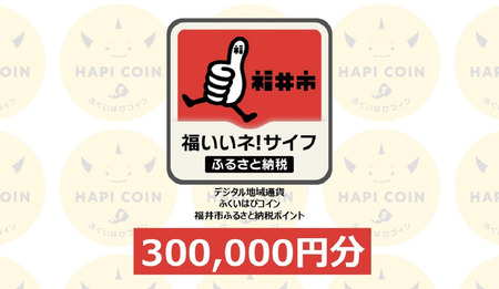 「ふくいはぴコイン」福井市ふるさと納税ポイント【300,000円分】 [W-198009] / 選べる金額 デジタル地域通貨 ホテル 観光 レジャー PAY アプリ オンライン キャッシュレス スマホ ポイント スマホ 便利 簡単 デジタル 支払い 地域通貨 送料無料