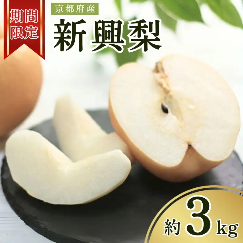 【先行予約 数量限定】 2026年度産 新興 梨 約3kg (5～8玉入り) 先行予約