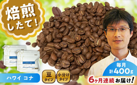 【全6回定期便】ハワイ・コナ　コーヒー豆　200g×2個(豆)  / コーヒー  ドリップ  豆 / Coffee SAKURA[BBAB028]