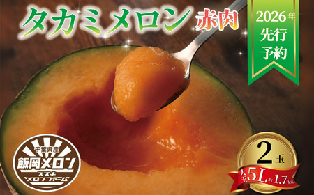 【先行予約】 赤肉 メロン 2玉 