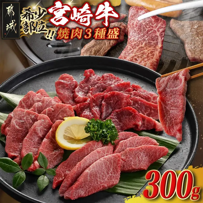 牛肉好き必見!宮崎牛希少部位の焼肉☆お楽しみ3種盛(100g×3種)〔14-J702〕_(都城市) 宮崎県産 宮崎牛 希少部位イチボ ランプ ミスジ トモサンカク シンシン クリ から厳選 100g×3種 焼肉用