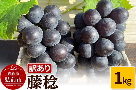 【26年9月～発送】 【訳あり】 藤稔 1kg【先行受付】 ぶどう フルーツ 果物 ブドウ 葡萄 グレープ くだもの 産地直送