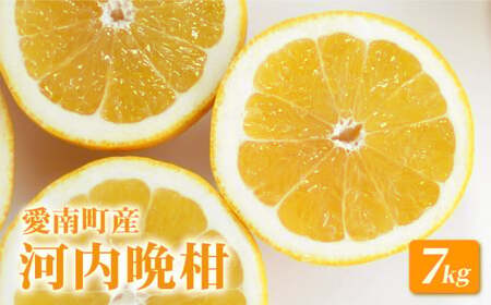 山口農園 河内晩柑 7kg 愛南ゴールド 河内晩柑