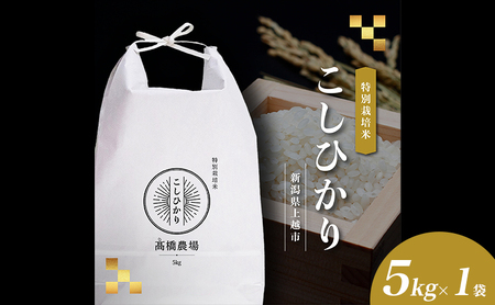 【新潟県上越市産】特別栽培米 コシヒカリ 令和7年産 5kg（5kg×1袋）ご飯 おにぎり