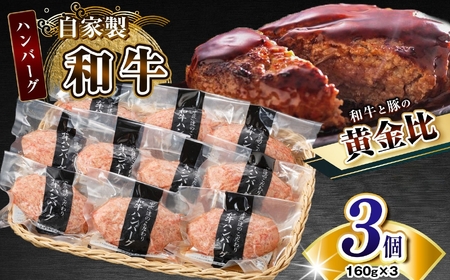 自家製和牛ハンバーグ(生・冷凍個別真空)　3個セット