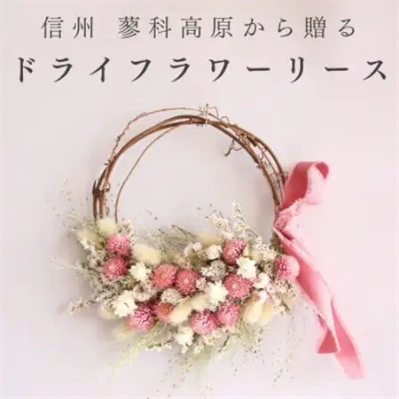 信州八ヶ岳の麓から贈るドライフラワーリース Sハーフ(ピンク)【1659519】