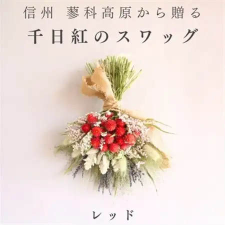 信州八ヶ岳の麓から贈る 千日紅のドライフラワースワッグM(レッド)【1659601】
