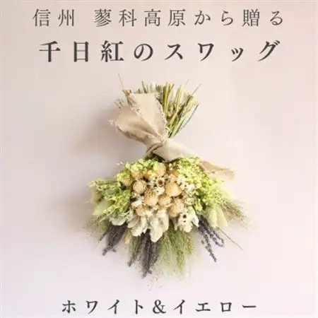 信州八ヶ岳の麓から贈る 千日紅のドライフラワースワッグM(ホワイト＆イエロー)【1659602】