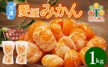 冷凍 みかん 500g×2袋 みかん 武田屋
