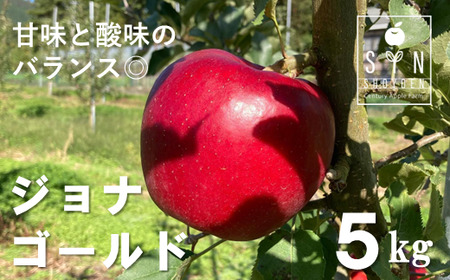 【先行予約】 松陽園 樹上完熟 りんご ジョナゴールド 5kg【2026年10月中旬頃から順次発送】 農家直送
