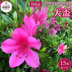 特産品の サツキツツジ大盃 15本セット